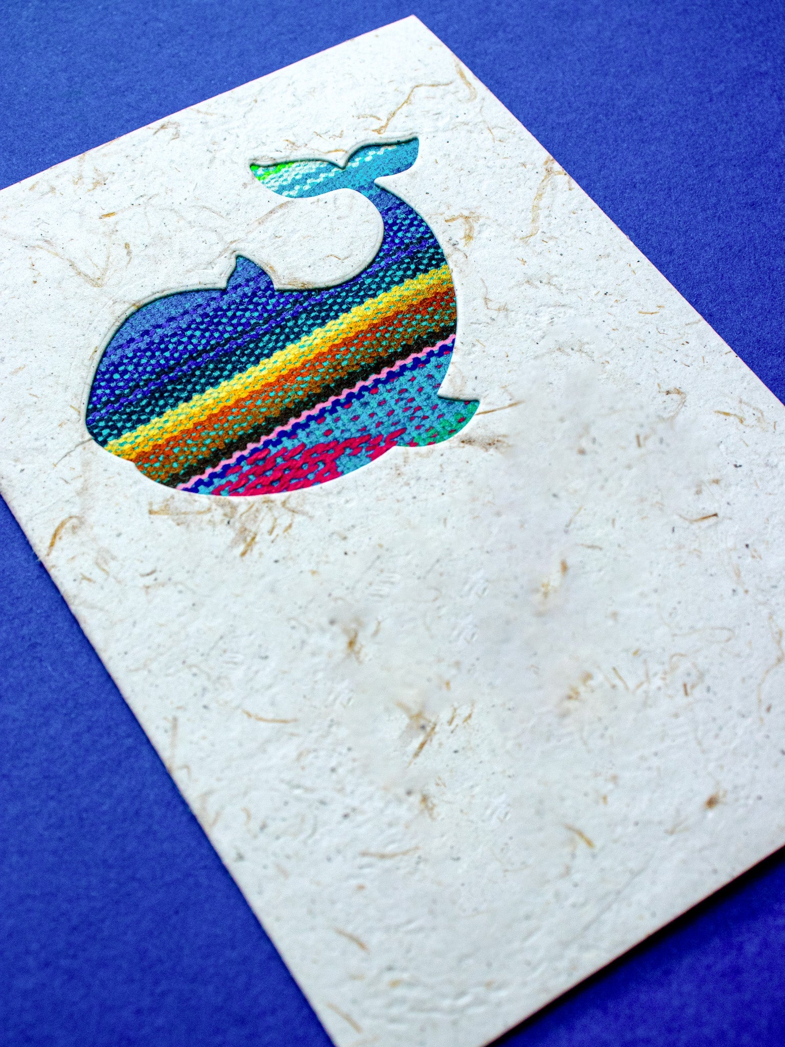 Rounded Whale Ecuadorian Fabric Card - Artizan International